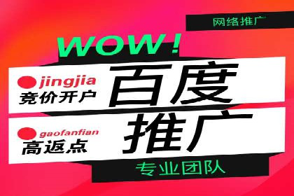 百度推广公司：行业领先的网络营销案例